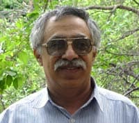 Teacher Image
